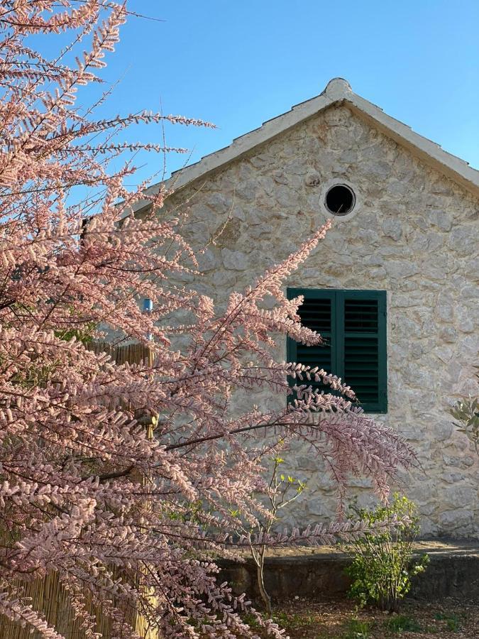 Mediterranean Olive Waterfallskrka-Croatia Villa Gulin Esterno foto
