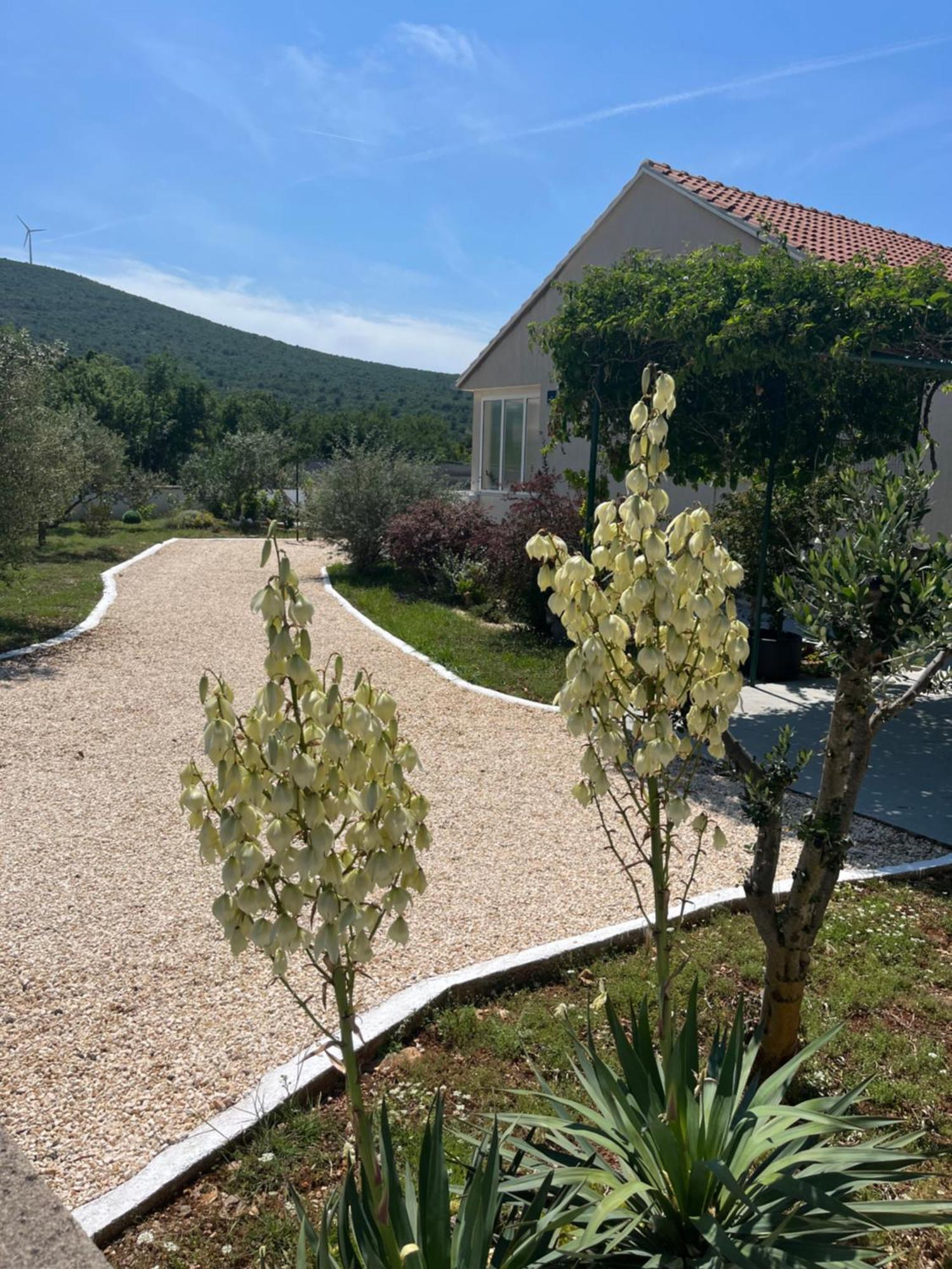 Mediterranean Olive Waterfallskrka-Croatia Villa Gulin Esterno foto